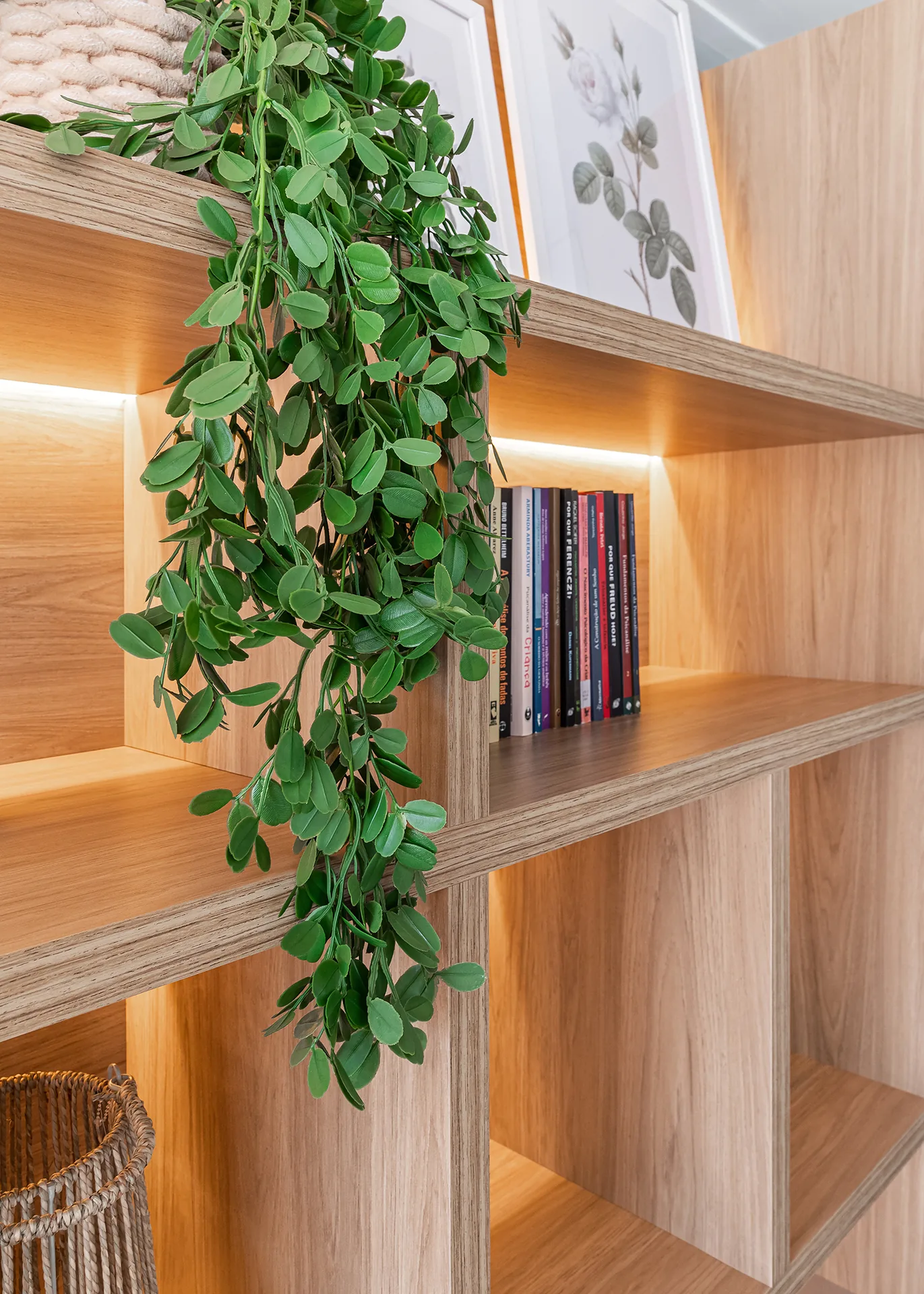 Detalhe da estante iluminada com livros e planta